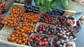 Fresh multi-colored tomatoes for sale in outdoor produce market, Victoria, British Columbia